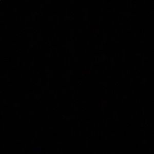 Meet your Posher, Julio